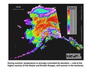 During summer, temperature is strongly controlled by elevation -- cold at the
higher reaches of the Alaska and Brooks Ranges, and warmer in the lowlands.
 