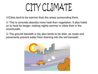 Cities tend to be warmer than the areas surrounding them.
 This is concrete absorbs more heat than vegetation. It also holds
on to heat for longer, making nights warmer in cities than in the
countryside.
 The ground beneath a city also tends to be drier, as roads and
pavements prevent water from draining into the soil beneath.
 