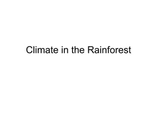 Climate in the Rainforest 