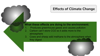 What these effects are doing to the environment:
1. Produces greenhouse gases and causes pollution
2. Carbon can’t store CO2 so it adds more to the
atmosphere
3. Cows and sheep add methane to the atmosphere when
they digest
Effects of Climate Change
 