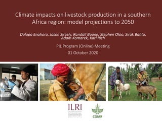 Climate impacts on livestock production in a southern
Africa region: model projections to 2050
Dolapo Enahoro, Jason Sircely, Randall Boone, Stephen Oloo, Sirak Bahta,
Adam Komarek, Karl Rich
PIL Program (Online) Meeting
01 October 2020
 