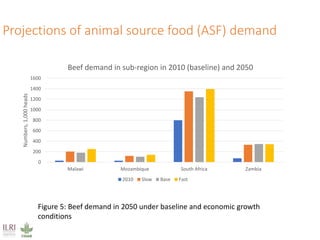 Climate impacts on livestock production in a southern Africa region: Model projections to 2050