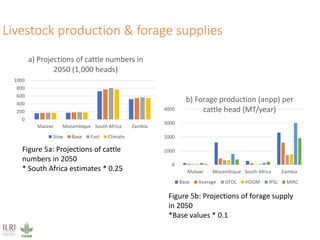 Climate impacts on livestock production in a southern Africa region: Model projections to 2050