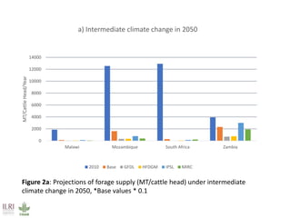 Climate impacts on livestock production in a southern Africa region: Model projections to 2050