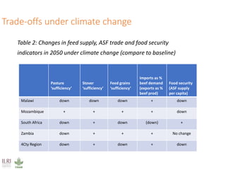 Climate impacts on livestock production in a southern Africa region: Model projections to 2050