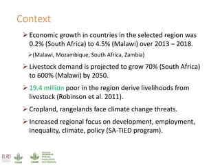 Climate impacts on livestock production in a southern Africa region: Model projections to 2050