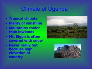 Climate of Uganda  ,[object Object],[object Object],[object Object],[object Object],[object Object]