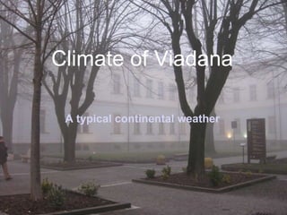 Climate of Viadana A typical continental weather 