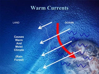 Warm Currents

LAND                 OCEAN




Causes
 Warm
 And
 Moist
Climate

 (Rain
Forest)
 