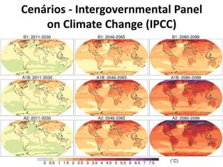 Cenários - Intergovernmental Panel
on Climate Change (IPCC)
 