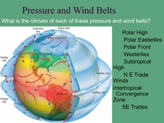 Pressure and Wind Belts
What is the climate of each of these pressure and wind belts?

                                                Polar High
                                                 Polar Easterlies
                                                 Polar Front
                                                 Westerlies
                                                 Subtropical
                                             High
                                                 N E Trade
                                             Winds
                                            Intertropical
                                               Convergence
                                             Zone
                                                SE Trades
 