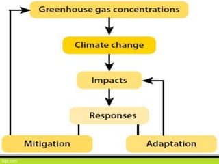 Climate resilient agriculture adaptation and mitigation strategies | PPT