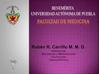1
Rubén R. Carrillo M. M. D.
GINECOLOGÍA
BIOLOGÍA DE LA REPRODUCCIÓN
COLPOSCOPÍA
CIRUGÍA ESTÉTICA
 