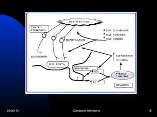 29/09/14 Climaterio femenino 15 
 
