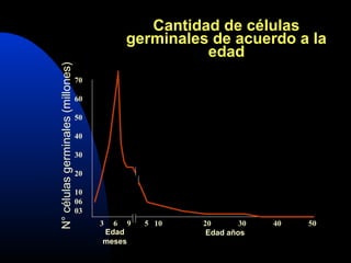 Cantidad de células 
germinales de acuerdo a la 
edad 
70 
60 
50 
40 
30 
20 
10 
06 
03 
3 6 9 5 10 20 30 40 50 
N° células germinales (millones) 
Edad 
meses 
Edad años 
 