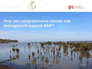 Climate risk management | PDF