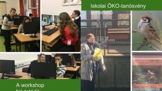A workshop
Iskolai ÖKO-tanösvény
ismertető
 