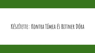 Készítette: Kontra Tímea és Bittner Dóra
 