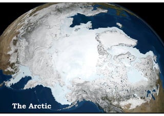 The Arctic
 