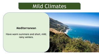 Mild Climates
Mediterranean
Have warm summers and short, mild,
rainy winters.
 