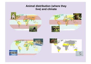 Animal distribution (where they
       live) and climate
 