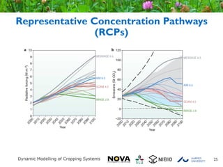 Representative Concentration Pathways
(RCPs)
25
 
