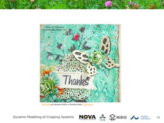 51
This Photo by Unknown Author is licensed under CC BY-SA-NC
 