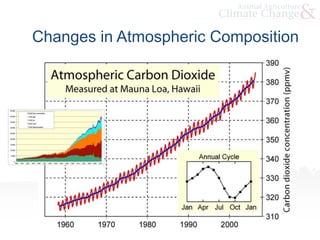 Changes in Atmospheric Composition
 