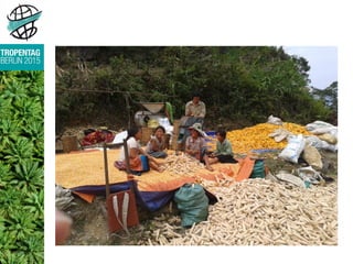 Climate sensitive diseases in the Mekong Region: Can we predict pests by climate factors? 