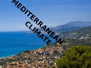 M
ED
ITER
R
A
N
EA
N
CLIM
ATE
 