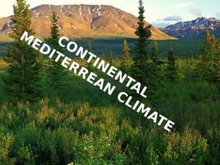 CONTINENTAL
M
EDITERREAN
CLIM
ATE
 