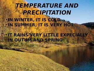 TEMPERATURE AND
PRECIPITATION
• IN WINTER, IT IS COLD
• IN SUMMER, IT IS VERY HOT
• IT RAINS VERY LITTLE EXPECIALLY
IN OUTUM AND SPRING
 