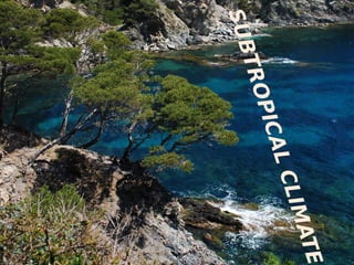 SUBTROPICALCLIMATE
 