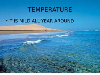 TEMPERATURE
• IT IS MILD ALL YEAR AROUND
 