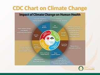 Impact of climate change on human health presentation | PPTX