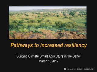 Pathways to increased resiliency
  Building Climate Smart Agriculture in the Sahel
                  March 1, 2012
 