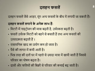िलहन फसलें
दलहन फसलें जैसे अरहर, मूंग अन्य फसलों के बीच में लगायी जा सकती हैं।
िलहन फसलें लगाने के अनेक लाभ हैं:
• धमििी में नाइिरोजन की मात्रा बढ़ती है, उवारकता बढ़ती है।
• फसलें उवारक धमििी को बहने से बचाती हैं तथा अन्य फसलों की
उत्पादकता बढ़ाती हैं ।
• रासायधनक खाद का प्रयोग कम हो जाता है।
• पैसे की लागत में कमी आती है।
• धभन्न तरह की दालें घर में पहले से ज़्यादा मात्रा में खायी जाती हैं धजससे
पररवार का पोर्ण बढ़ता है।
• दालों और फधलयों की धबक्री से पररवार की कमाई बढ़ जाती है।
8
 