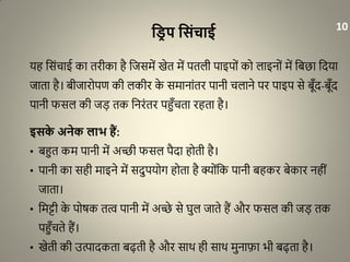 वरि प वसंचाई
यह धसंचाई का तरीका है धजसमें खेत में पतली पाइपों को लाइनों में धबछा धदया
जाता है। बीजारोपण की लकीर के समानांतर पानी चलाने पर पाइप से बूाँद-बूाँद
पानी फसल की जड़ तक धनरंतर पहुाँचता रहता है।
इसके अनेक लाभ हैं:
• बहुत कम पानी में अच्छी फसल पैदा होती है।
• पानी का सही माइने में सदुपयोग होता है क्योंधक पानी बहकर बेकार नहीं
जाता।
• धमट्टी के पोर्क तत् पानी में अच्छे से घुल जाते हैं और फसल की जड़ तक
पहुाँचते हैं।
• खेती की उत्पादकता बढ़ती है और साथ ही साथ मुनाफा भी बढ़ता है।
10
 