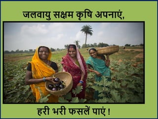 जलिायु सक्षम कृ वि अपनाएं ,
हरी भरी फसलें पाएं !
 