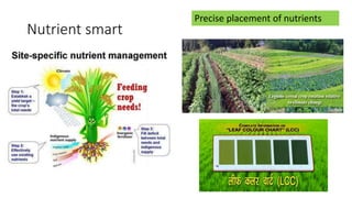 Nutrient smart
Precise placement of nutrients
 