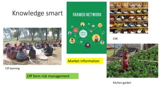 Knowledge smart
F2f learning
CSB
Kitchen garden
Off farm risk management
Market information
 