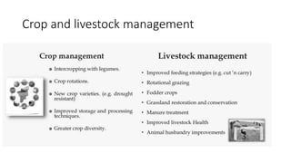 Crop and livestock management
 