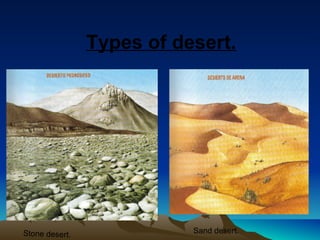 Types of desert. 
Stone desert. 
Sand desert. 
 