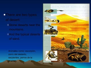 ●There are two types 
of desert: 
oStone deserts near the 
mountains. 
oAnd the typical deserts 
of sand. 
Animales como: escorpión, 
zorro del desierto, 
serpientes, perros de la 
pradera, 
 