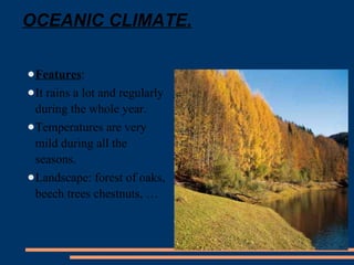 OCEANIC CLIMATE. 
●Features: 
●It rains a lot and regularly 
during the whole year. 
●Temperatures are very 
mild during all the 
seasons. 
●Landscape: forest of oaks, 
beech trees chestnuts, … 
 