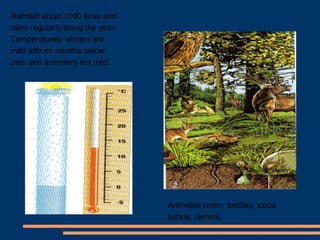 Rainfaill about 1000 litres and 
rains regularly along the year. 
Temperatures: winters are 
mild with no months below 
zero and summers are mild. . 
Animales como: ardillas, lobos, 
buhos, ciervos, 
 