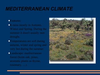 MEDITERRANEAN CLIMATE 
●Features: 
●It rains mostly in Autumn, 
Winter and Spring. During the 
summer it does't usually rain: 
drought. 
●Temperatures are soft during 
autumn, winter and spring and 
very hot during the summer. 
●Landscape: mediterranean 
forest (holm oak, pines, 
aromatic plants as thyme, 
rosemary, …). 
 