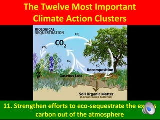 The Twelve Most Important
Climate Action Clusters
11. Strengthen efforts to eco-sequestrate the excess
carbon out of the atmosphere
 