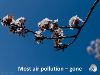 Most air pollution – gone
 