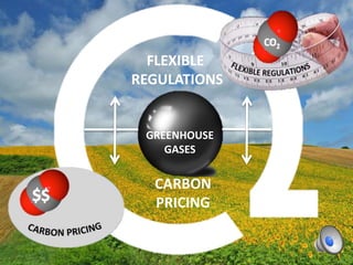 FLEXIBLE
REGULATIONS
CARBON
PRICING
GREENHOUSE
GASES
 